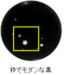 丸盆(桜)黒